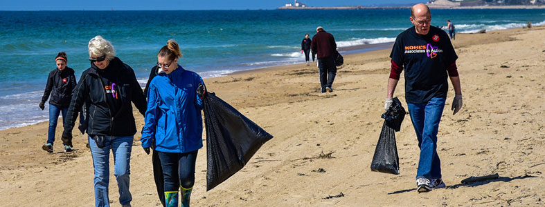 Afval opgeruimd op Nederlandse stranden | Rolcontainerhuren.nl