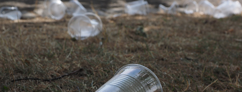 Aanpak ‘plastic zee’ op festivals | Rolcontainer huren