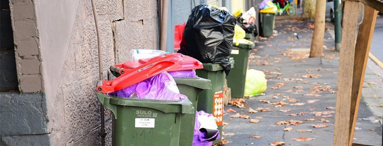 Maden in uw container voorkomen met deze tips | Rolcontainer huren